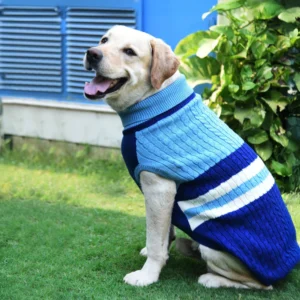 Cable Knit Dog Sweater