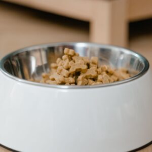 Stainless Steel Dog Food Bowl Set