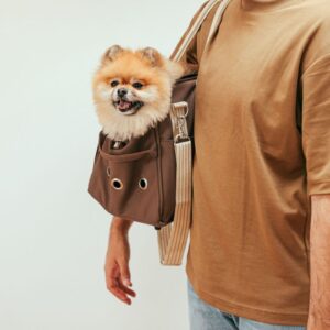 Pet Carrier Tote Bag