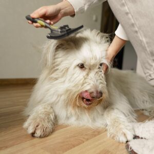 Self-Cleaning Slicker Brush