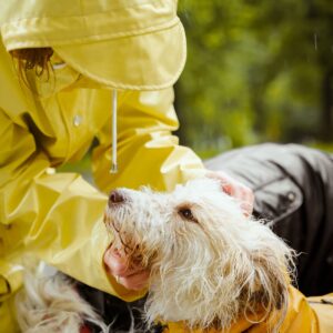 Waterproof Dog Raincoat